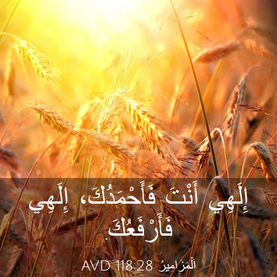Picture 03 - اَلْمَزَامِيرُ 118:28 AVD - إِلَهِي أَنْتَ - Bible Verse Picture