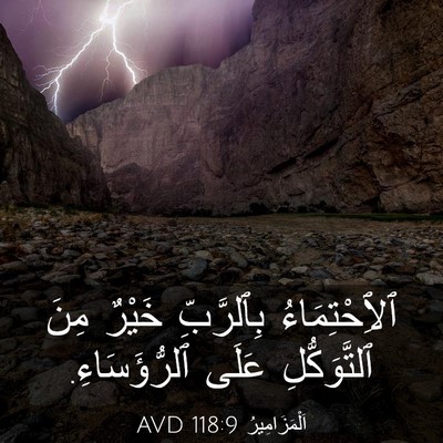 Picture 03 - اَلْمَزَامِيرُ 118:9 AVD - ٱلِٱحْتِمَاءُ بِٱلرَّبِّ - Bible Verse Picture