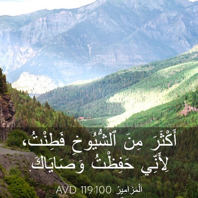 Picture 03 - اَلْمَزَامِيرُ 119:100 AVD - أَكْثَرَ مِنَ ٱلشُّيُوخِ - Bible Verse Picture