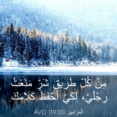 Picture 03 - اَلْمَزَامِيرُ 119:101 AVD - مِنْ كُلِّ طَرِيقِ شَرٍّ - Bible Verse Picture