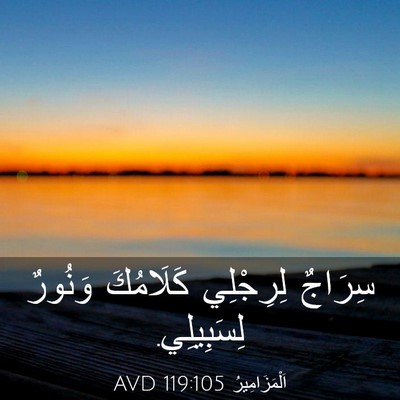 Picture 03 - اَلْمَزَامِيرُ 119:105 AVD - سِرَاجٌ لِرِجْلِي - Bible Verse Picture