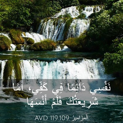Picture 03 - اَلْمَزَامِيرُ 119:109 AVD - نَفْسِي دَائِمًا فِي - Bible Verse Picture