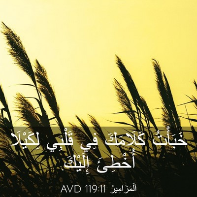 Picture 03 - اَلْمَزَامِيرُ 119:11 AVD - خَبَأْتُ كَلَامَكَ فِي - Bible Verse Picture