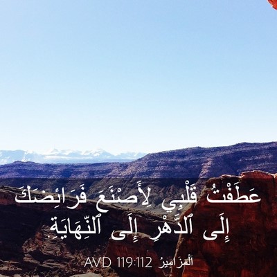 Picture 03 - اَلْمَزَامِيرُ 119:112 AVD - عَطَفْتُ قَلْبِي - Bible Verse Picture