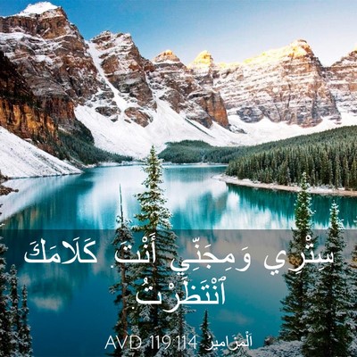 Picture 03 - اَلْمَزَامِيرُ 119:114 AVD - سِتْرِي وَمِجَنِّي أَنْتَ. - Bible Verse Picture