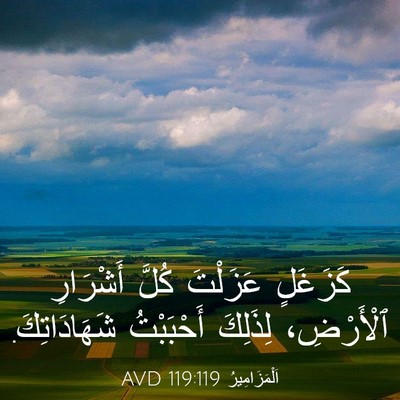 Picture 03 - اَلْمَزَامِيرُ 119:119 AVD - كَزَغَلٍ عَزَلْتَ كُلَّ - Bible Verse Picture