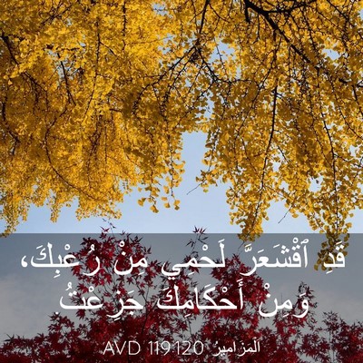 Picture 03 - اَلْمَزَامِيرُ 119:120 AVD - قَدِ ٱقْشَعَرَّ لَحْمِي - Bible Verse Picture
