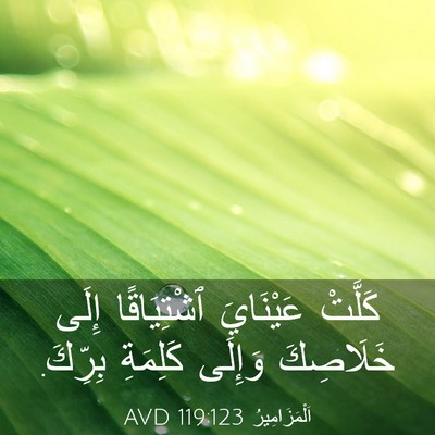 Picture 03 - اَلْمَزَامِيرُ 119:123 AVD - كَلَّتْ عَيْنَايَ - Bible Verse Picture
