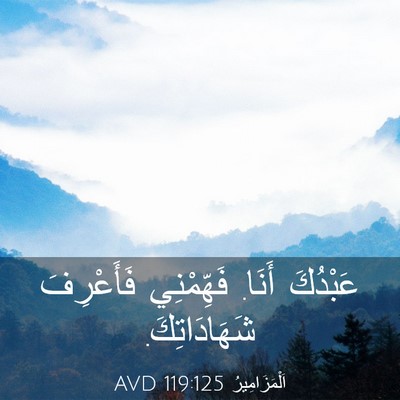Picture 03 - اَلْمَزَامِيرُ 119:125 AVD - عَبْدُكَ أَنَا. فَهِّمْنِي - Bible Verse Picture