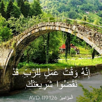 Picture 03 - اَلْمَزَامِيرُ 119:126 AVD - إِنَّهُ وَقْتُ عَمَلٍ - Bible Verse Picture