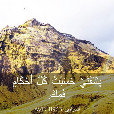 Picture 03 - اَلْمَزَامِيرُ 119:13 AVD - بِشَفَتَيَّ حَسَبْتُ - Bible Verse Picture