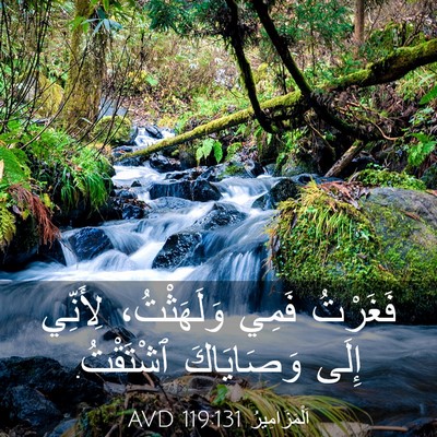Picture 03 - اَلْمَزَامِيرُ 119:131 AVD - فَغَرْتُ فَمِي - Bible Verse Picture