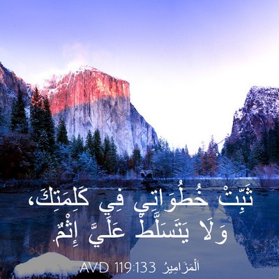Picture 03 - اَلْمَزَامِيرُ 119:133 AVD - ثَبِّتْ خُطُوَاتِي فِي - Bible Verse Picture