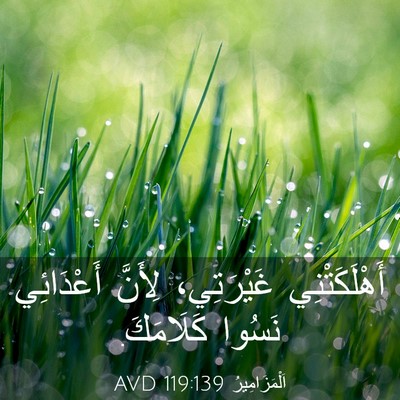 Picture 03 - اَلْمَزَامِيرُ 119:139 AVD - أَهْلَكَتْنِي غَيْرَتِي، - Bible Verse Picture