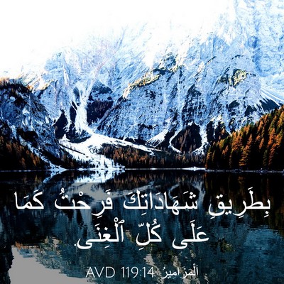 Picture 03 - اَلْمَزَامِيرُ 119:14 AVD - بِطَرِيقِ شَهَادَاتِكَ - Bible Verse Picture