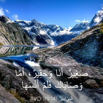 Picture 03 - اَلْمَزَامِيرُ 119:141 AVD - صَغِيرٌ أَنَا وَحَقِيرٌ، - Bible Verse Picture