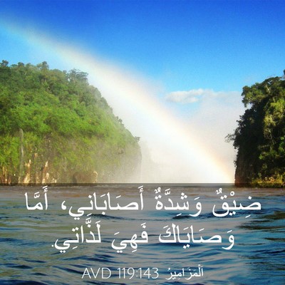 Picture 03 - اَلْمَزَامِيرُ 119:143 AVD - ضِيْقٌ وَشِدَّةٌ - Bible Verse Picture