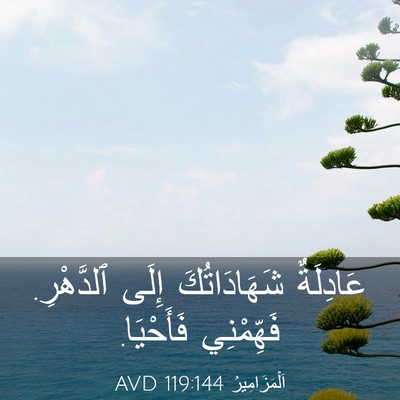 Picture 03 - اَلْمَزَامِيرُ 119:144 AVD - عَادِلَةٌ شَهَادَاتُكَ - Bible Verse Picture