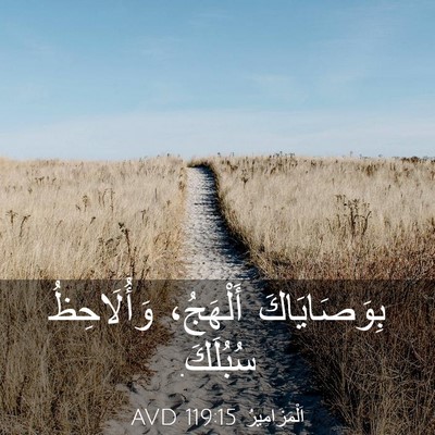 Picture 03 - اَلْمَزَامِيرُ 119:15 AVD - بِوَصَايَاكَ أَلْهَجُ، - Bible Verse Picture