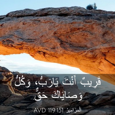Picture 03 - اَلْمَزَامِيرُ 119:151 AVD - قَرِيبٌ أَنْتَ يَارَبُّ، - Bible Verse Picture