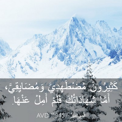 Picture 03 - اَلْمَزَامِيرُ 119:157 AVD - كَثِيرُونَ مُضْطَهِدِيَّ - Bible Verse Picture