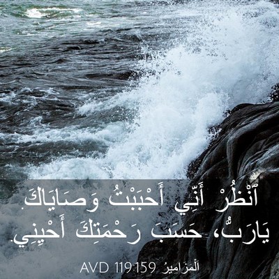 Picture 03 - اَلْمَزَامِيرُ 119:159 AVD - ٱنْظُرْ أَنِّي أَحْبَبْتُ - Bible Verse Picture