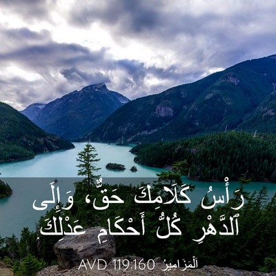 Picture 03 - اَلْمَزَامِيرُ 119:160 AVD - رَأْسُ كَلَامِكَ حَقٌّ، - Bible Verse Picture
