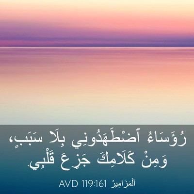 Picture 03 - اَلْمَزَامِيرُ 119:161 AVD - رُؤَسَاءُ ٱضْطَهَدُونِي - Bible Verse Picture