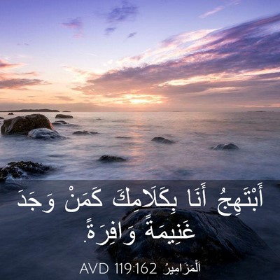 Picture 03 - اَلْمَزَامِيرُ 119:162 AVD - أَبْتَهِجُ أَنَا - Bible Verse Picture