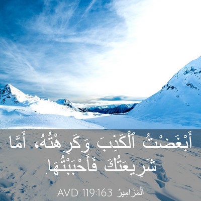 Picture 03 - اَلْمَزَامِيرُ 119:163 AVD - أَبْغَضْتُ ٱلْكَذِبَ - Bible Verse Picture