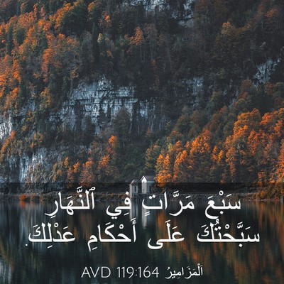 Picture 03 - اَلْمَزَامِيرُ 119:164 AVD - سَبْعَ مَرَّاتٍ فِي - Bible Verse Picture