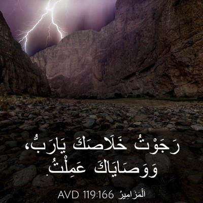 Picture 03 - اَلْمَزَامِيرُ 119:166 AVD - رَجَوْتُ خَلَاصَكَ - Bible Verse Picture