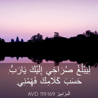 Picture 03 - اَلْمَزَامِيرُ 119:169 AVD - لِيَبْلُغْ صُرَاخِي - Bible Verse Picture