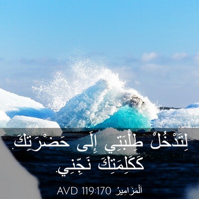 Picture 03 - اَلْمَزَامِيرُ 119:170 AVD - لِتَدْخُلْ طِلْبَتِي - Bible Verse Picture