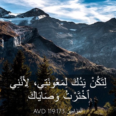 Picture 03 - اَلْمَزَامِيرُ 119:173 AVD - لِتَكُنْ يَدُكَ - Bible Verse Picture