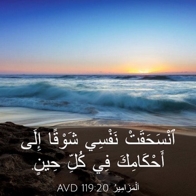 Picture 03 - اَلْمَزَامِيرُ 119:20 AVD - ٱنْسَحَقَتْ نَفْسِي - Bible Verse Picture