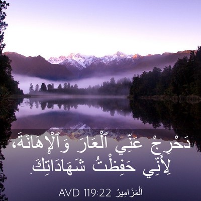 Picture 03 - اَلْمَزَامِيرُ 119:22 AVD - دَحْرِجْ عَنِّي ٱلْعَارَ - Bible Verse Picture