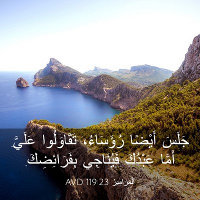 Picture 03 - اَلْمَزَامِيرُ 119:23 AVD - جَلَسَ أَيْضًا رُؤَسَاءُ، - Bible Verse Picture