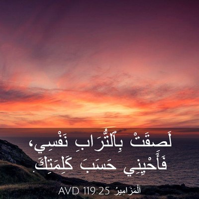 Picture 03 - اَلْمَزَامِيرُ 119:25 AVD - لَصِقَتْ بِٱلتُّرَابِ - Bible Verse Picture