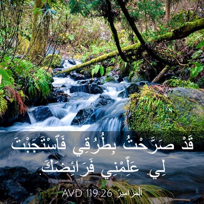 Picture 03 - اَلْمَزَامِيرُ 119:26 AVD - قَدْ صَرَّحْتُ بِطُرُقِي - Bible Verse Picture