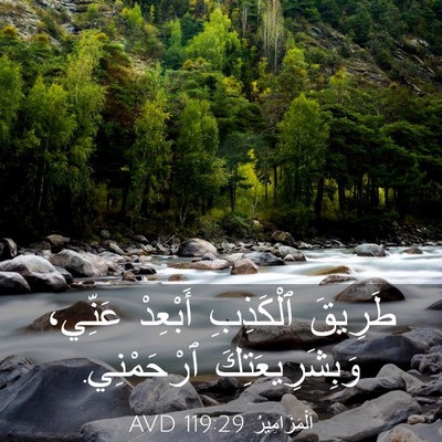 Picture 03 - اَلْمَزَامِيرُ 119:29 AVD - طَرِيقَ ٱلْكَذِبِ - Bible Verse Picture