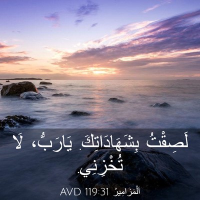 Picture 03 - اَلْمَزَامِيرُ 119:31 AVD - لَصِقْتُ بِشَهَادَاتِكَ. - Bible Verse Picture