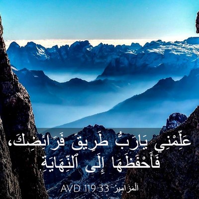 Picture 03 - اَلْمَزَامِيرُ 119:33 AVD - عَلِّمْنِي يَارَبُّ - Bible Verse Picture