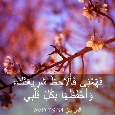 Picture 03 - اَلْمَزَامِيرُ 119:34 AVD - فَهِّمْنِي فَأُلَاحِظَ - Bible Verse Picture