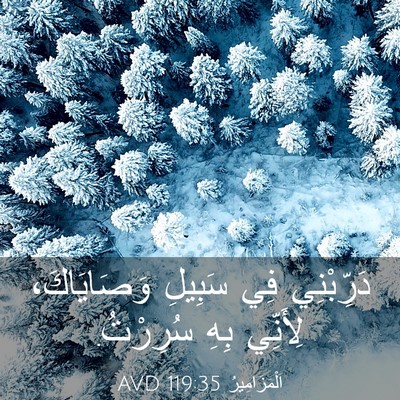 Picture 03 - اَلْمَزَامِيرُ 119:35 AVD - دَرِّبْنِي فِي سَبِيلِ - Bible Verse Picture