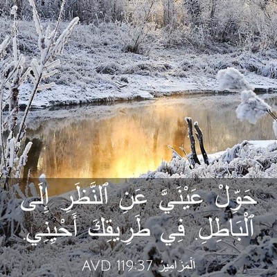 Picture 03 - اَلْمَزَامِيرُ 119:37 AVD - حَوِّلْ عَيْنَيَّ عَنِ - Bible Verse Picture