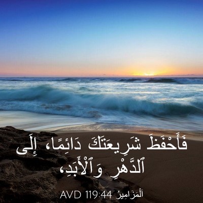 Picture 03 - اَلْمَزَامِيرُ 119:44 AVD - فَأَحْفَظَ شَرِيعَتَكَ - Bible Verse Picture