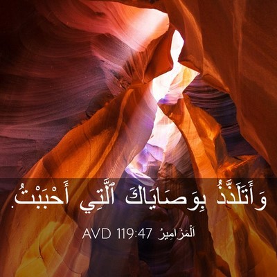 Picture 03 - اَلْمَزَامِيرُ 119:47 AVD - وَأَتَلَذَّذُ - Bible Verse Picture