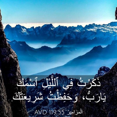 Picture 03 - اَلْمَزَامِيرُ 119:55 AVD - ذَكَرْتُ فِي ٱللَّيْلِ - Bible Verse Picture