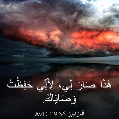 Picture 03 - اَلْمَزَامِيرُ 119:56 AVD - هَذَا صَارَ لِي، لِأَنِّي - Bible Verse Picture